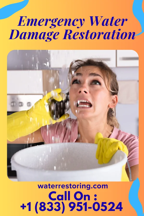 Emergency Water Damage Restoration in Springerton, IL